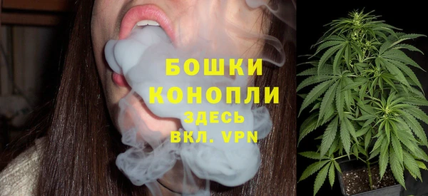 ешки Корсаков