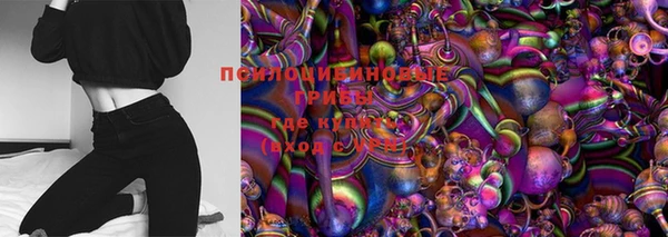 спиды Краснослободск
